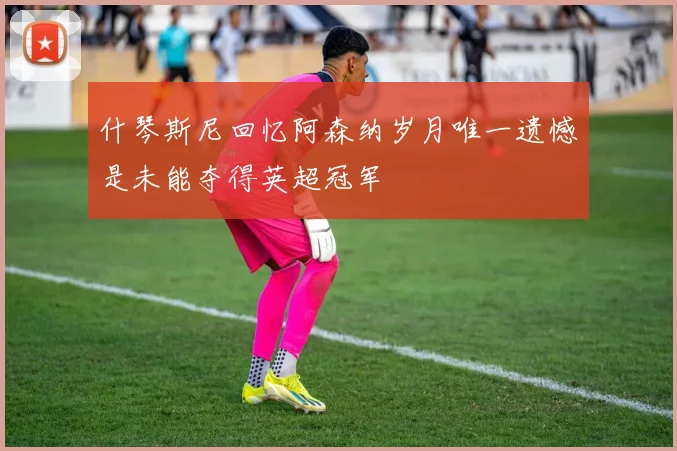 什琴斯尼回忆阿森纳岁月唯一遗憾是未能夺得英超冠军